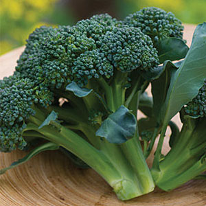 Broccoli